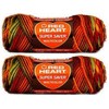 Bulk Buy: Red Heart Super Saver (2-pack) (Fall)