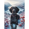 German Shorthair Pointer Black - Best of Breed DCR Winter