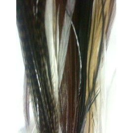 Feather Hair Extensions 4"-6" Five Natural Dark Browns with Blonde Mix Feathers for Salon Quality Hair Extension.