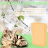 NewKe 10 Pack Pet Odor Eliminator for Meowant Self-Cleaning Cat