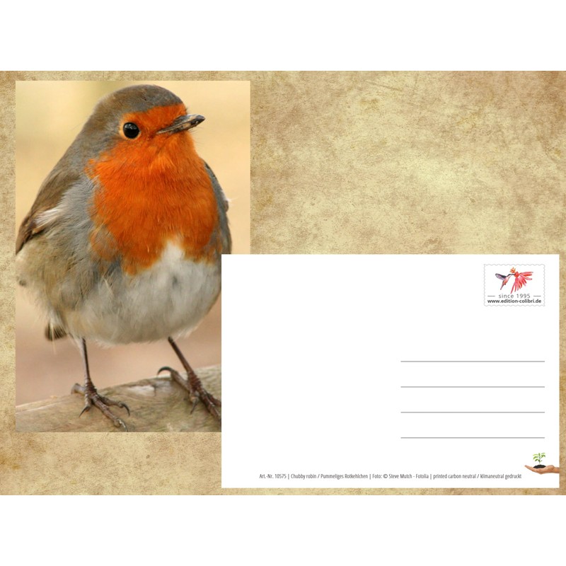 ROTKEHLCHEN Set of 2 Animal Postcard Postcard Birds from Germany
