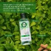 Shampoo Herbal Essences Detox Té verde & menta 400 ml