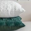 SHITURRE Christmas Snowflake Decorative Throw Pillow Covers Set of 2