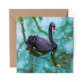 1 x Greeting Card Black Swan - Blank Birthday Celebration Anniversary #16395