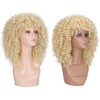 Lady Miranda Blonde Curly Wig Afro Kinky Curly Wigs with
