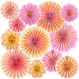 Boho Paper Fans Party Decorations Daisy Paper Flowers Hanging Fans Decor Set 12 Pcs Groovy Theme Party Supplies Daisy Paper Garland Backdrop for Birthday Wedding Baby Shower Graduation Classroom Wall