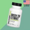 NutraBio Green Tea Extract 90 Veggie Capsules / 뉴트라바이오 녹차 그린티 추출물 500mg 식물성 베지캡슐 90정 NutraBio Green Tea Extract 90 Veggie Capsules
