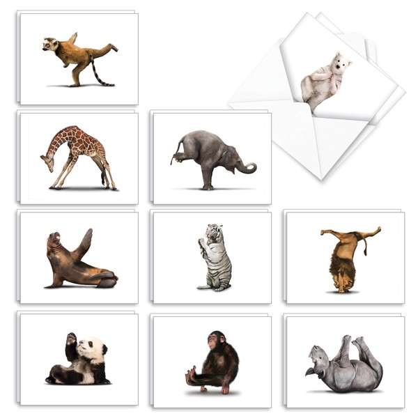 The Best Card Company - 20 Blank Yoga Animal Cards (4 x 5.12 Inch) - All Occasion Kids Set (10 Designs, 2 Each) - Zoo Yoga AM6547OCB-B2x10