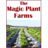 Magic Plant Farm 2 Carolina Reaper Pepper Paste + 1