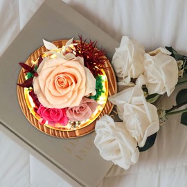 Preserved Flowers Roses Gifts for Women Mom, Fresh Flowers Forever Roses with Long-Lasting, Forever Flowers Flower Bouquets with LED Lights, Birthday Gift, Mothers Day, Christmas