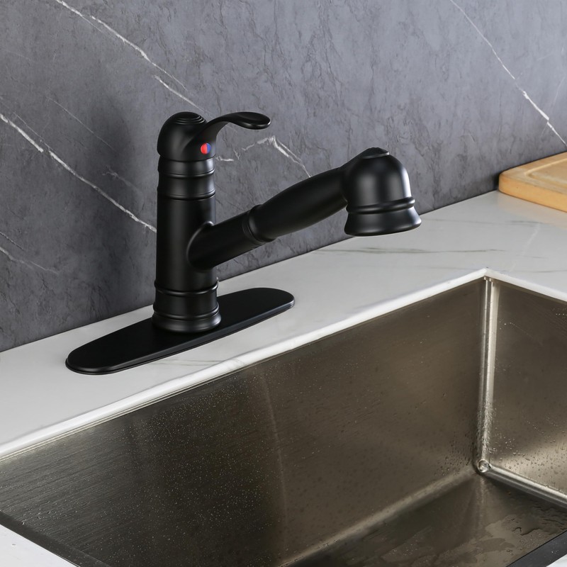 Derengge Matte Black Kitchen Faucet,Single Handle Pull Out Kitchen Faucet