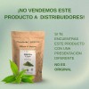 Pharmadan Té Verde Matcha 100% Puro Premium 500g