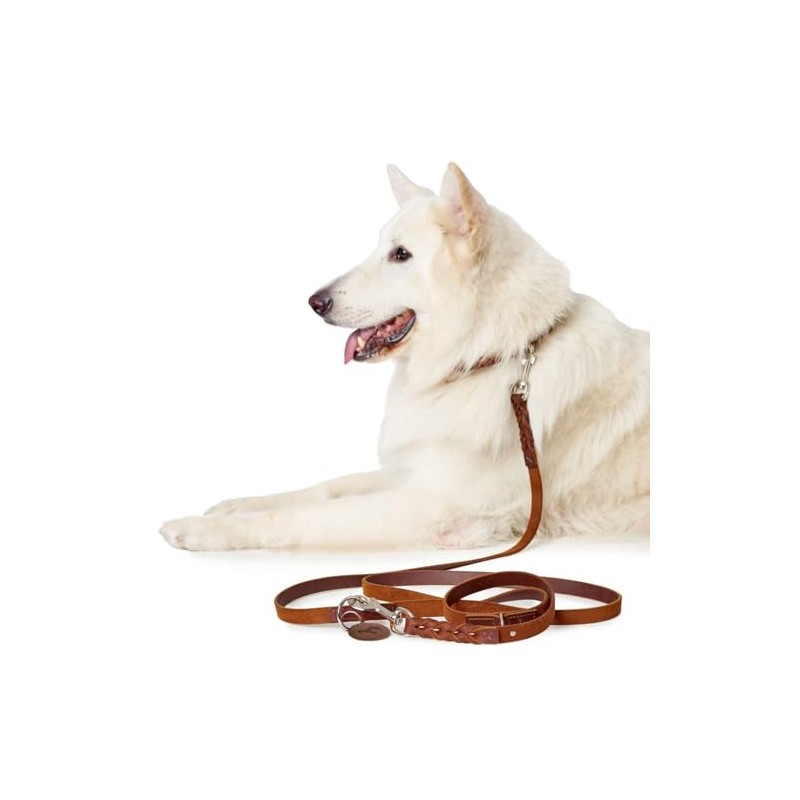 HUNTER Leash Solid Education, 11/110 Soft genuine cow leather, cognac