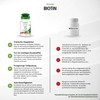 Fairvital Biotin 10 mg - with 10,000 mcg Vitamin B7