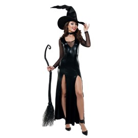 Starline Spellbound Sorceress Womens Costume (Medium)