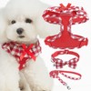 EXPAWLORER Cute Dog Harness Collar Leash Set - Red Girl