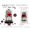 Art Four Seasons Phalaenopsis Denfare Dome Pink Preserved Flowers