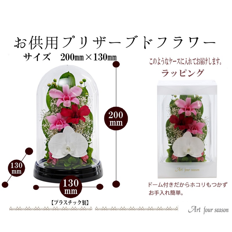 Art Four Seasons Phalaenopsis Denfare Dome Pink Preserved Flowers