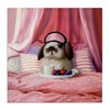 Stupell Industries Adorable House Bunny Rabbit Breakfast In Bed Pink,