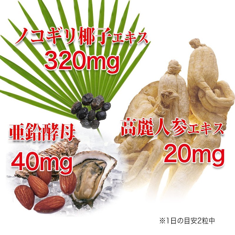 大日ヘルシーフーズ 自然力 ノコギリヤシ （ノコギリ椰子）60粒入 1袋 高麗人参 亜鉛 配合 サプリメント