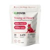 K9 Power Puppy Gold 1 lb - Supplement for Growing Puppies & Nursing Mothers - Essential Nutrients for Healthy Growth & Development - 45 Scoops