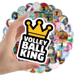 Bric Dodo Pack of 100 Volleyball Stickers Car Laptop Phone Guitar Skateboard Motorcycle Bicycle Volleyball Stickers Set Vinyl Waterproof Aesthetic Stickers for Teenagers Children Adults