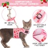 BINGPET Cat Harness with Leash Escape Proof - Fashionable Mesh