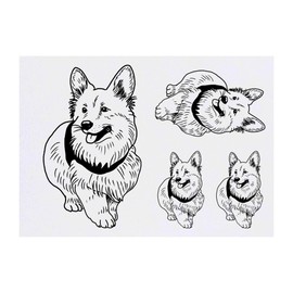 4 x 'Corgi Dog' Temporary Tattoos - Water Resistant, Skin-Safe, Non-Toxic Transfers, Mixed Sizes (TO00072578)