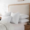 basic home Goose Feathers and Down Pillows, Cotton Cover, Bed