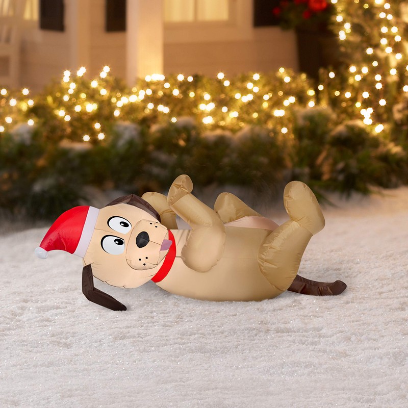 HOLIDAY TIME Playful Puppy in Santa Hat Rolling in The