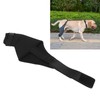 Qcwwy Dog Knee Braces for Hind Leg, Dog Hind Leg