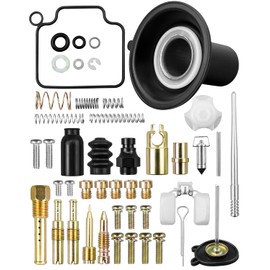 Carburetor Rebuild Repair Kits, Single Carburetor Version with Plunger Assembly Fit for Honda Rebel 250/ CMX250/ CA250 Motorcycle 1985-2016