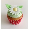Holly Cupcakes 12 Gorgeous White Edible Wafer Daisies & 12