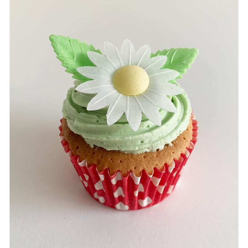 Holly Cupcakes 12 Gorgeous White Edible Wafer Daisies & 12