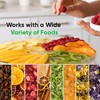 NutriChef Food Dehydrator Machine - Professional Electric Multi-Tier Food Preserver,