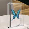 irbaniland 5x7 Rotating Acrylic Photo Frame Photos Frame Photo Frame