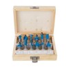 Silverline 251591 12 mm TCT Router Bit Set 12pce 12