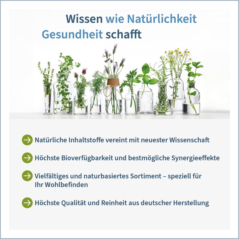 NatuGena Bioaktiver B-Komplex, magensaftresistenter Kapsel, Vitamin B6, B12, Thiamin (B1),