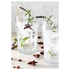Ikea Glass, Clear Glass, 35 Cl - 4 Pack -