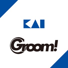 Groom.) (Groom Stick Shaver hc3040