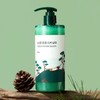 Round Lab Pine Soothing Cica Shampoo 400ml 4068607 / 라운드랩 소나무 진정 시카 샴푸 400ml 4068607