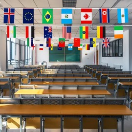 100 Countries String Flag, 14 × 21cm, Washable, 100Pcs 29M, does' t fade, International Flags, World Flag Banner Decorations for School, Garden, Sports Game Events, Grand Opening, Classroom, Party.