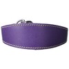 BBD Pet Products Italian G. Hound Slip Collar, One Size,