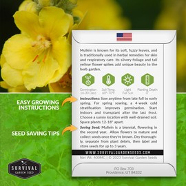 Mullein Seed for Planting - 5 Packets with Instructions to Plant and Grow Medicinal Herb Common Mullein in Your Home Vegetable Garden - Non-GMO Heirloom Variety - Survival Garden Seeds