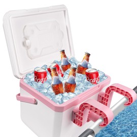 13L Pool Cooler, Insulated Hard Cooler with Handle & Hanging Bracket, Keeps Drinks Cold for 3 Days, Portable Poolside Drink Cooler for Above-Ground Pools, Camping, Fishing
