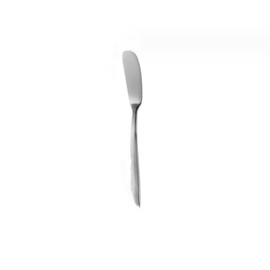 ASEANAO Stainless Steel Cheese Spreaders Knives, Butter Spreader (Silver)