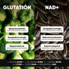 Glutatión y NAD+ Homodeus: Suplemento Antioxidante con NAC, ALA y