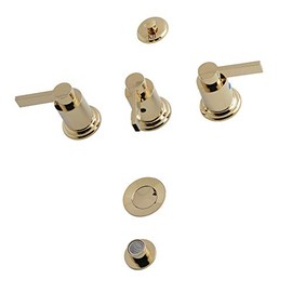 Kingston Brass KB6322NDL NuvoFusion Bidet Faucet, 8" (L) x 2-1/8 (W), Polished Brass
