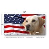 Yellow Labrador on American Flag License Plate