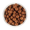 Phosphate bamboo salt Insan Bamboo Salt Field Garlic Pills 250g